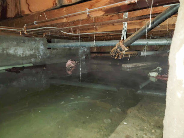 Best 24/7 water damage repair  in North New Hyde Park, NY