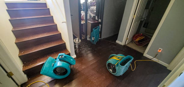 Best Flooded house restoration  in North New Hyde Park, NY