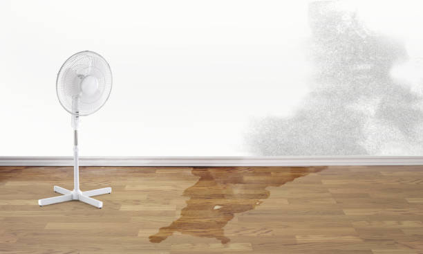 Best Flood restoration services  in North New Hyde Park, NY