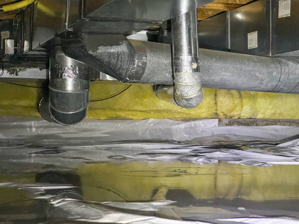 Best Water damage contractors near me  in North New Hyde Park, NY